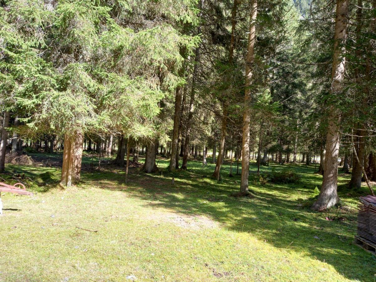 Appartamento Haus Waldfriede Sankt Leonhard im Pitztal Esterno foto